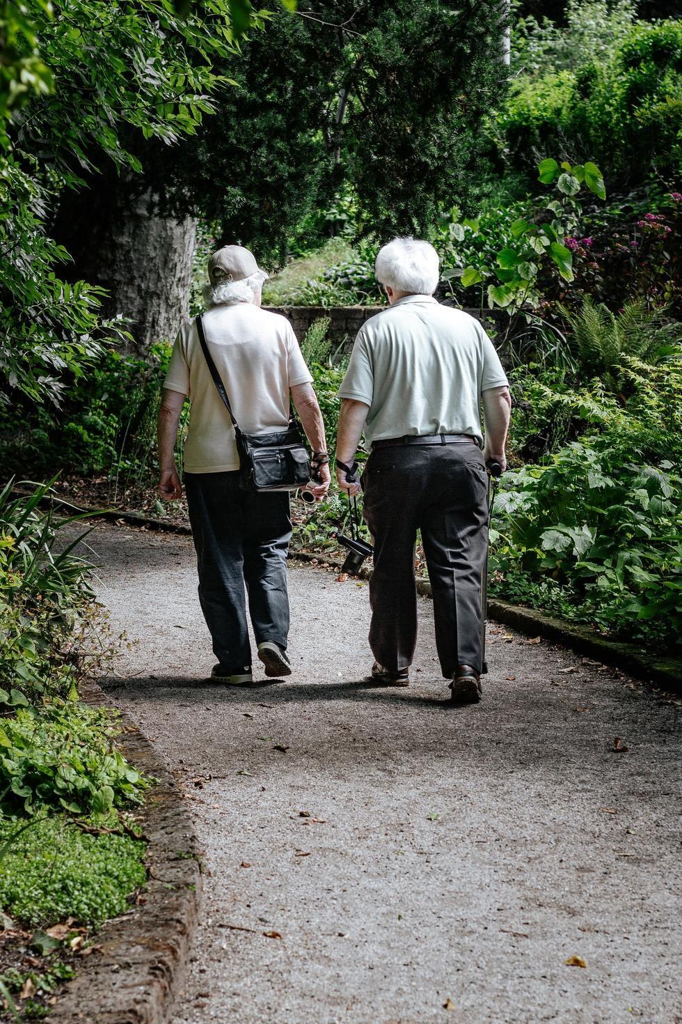 Elderly couple holding hands while walking together through a garden path